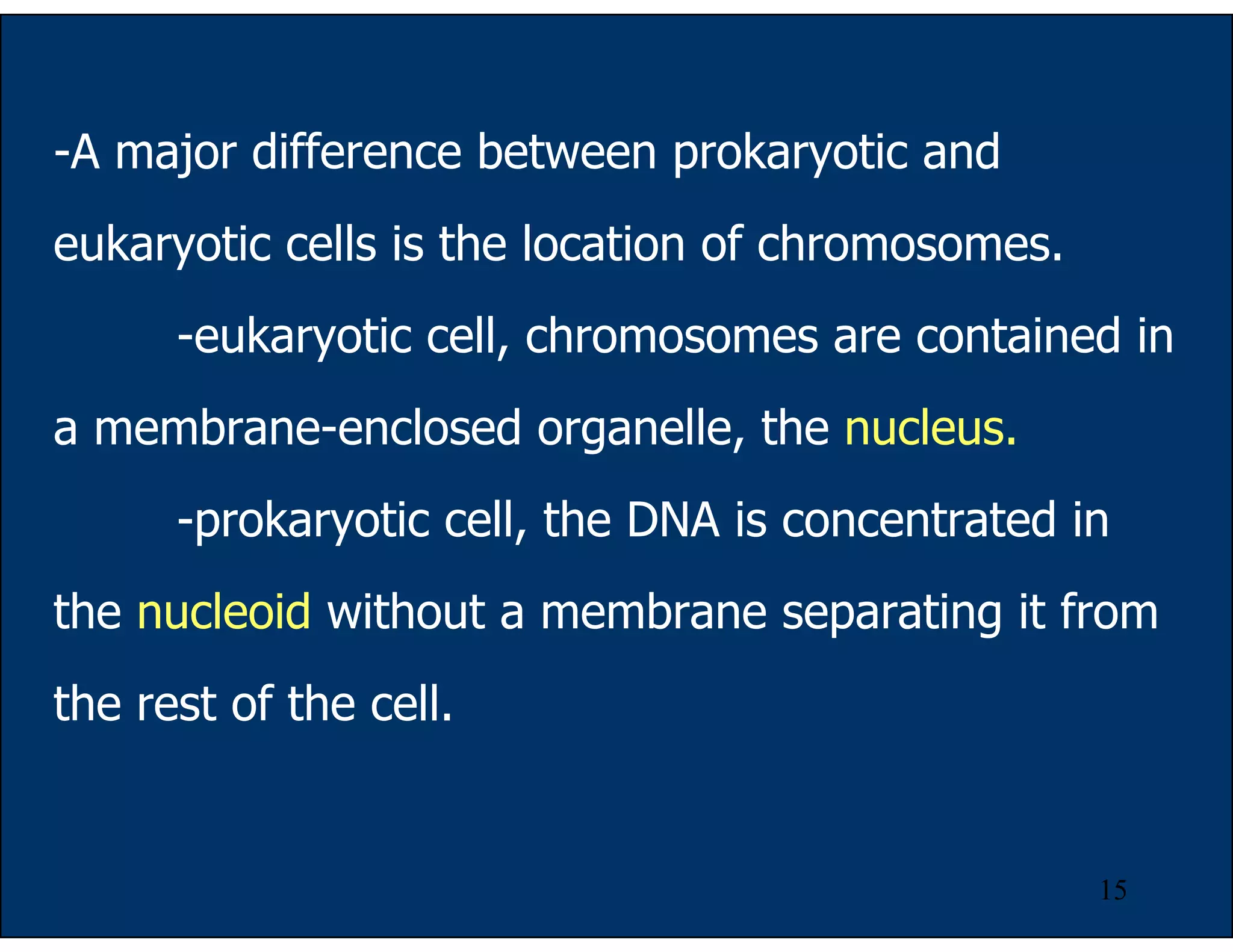 15
-A major difference between prokaryotic and
eukaryotic cells is the location of chromosomes.
-eukaryotic cell, chromosomes are contained in
a membrane-enclosed organelle, the nucleus.
-prokaryotic cell, the DNA is concentrated in
the nucleoid without a membrane separating it from
the rest of the cell.
 