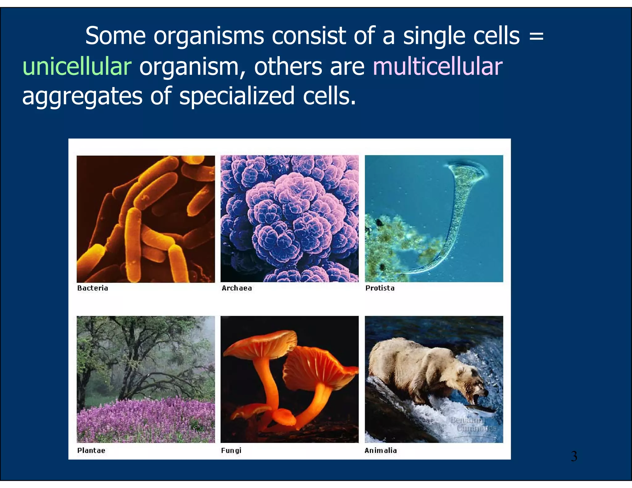 3
Some organisms consist of a single cells =
unicellular organism, others are multicellular
aggregates of specialized cells.
 