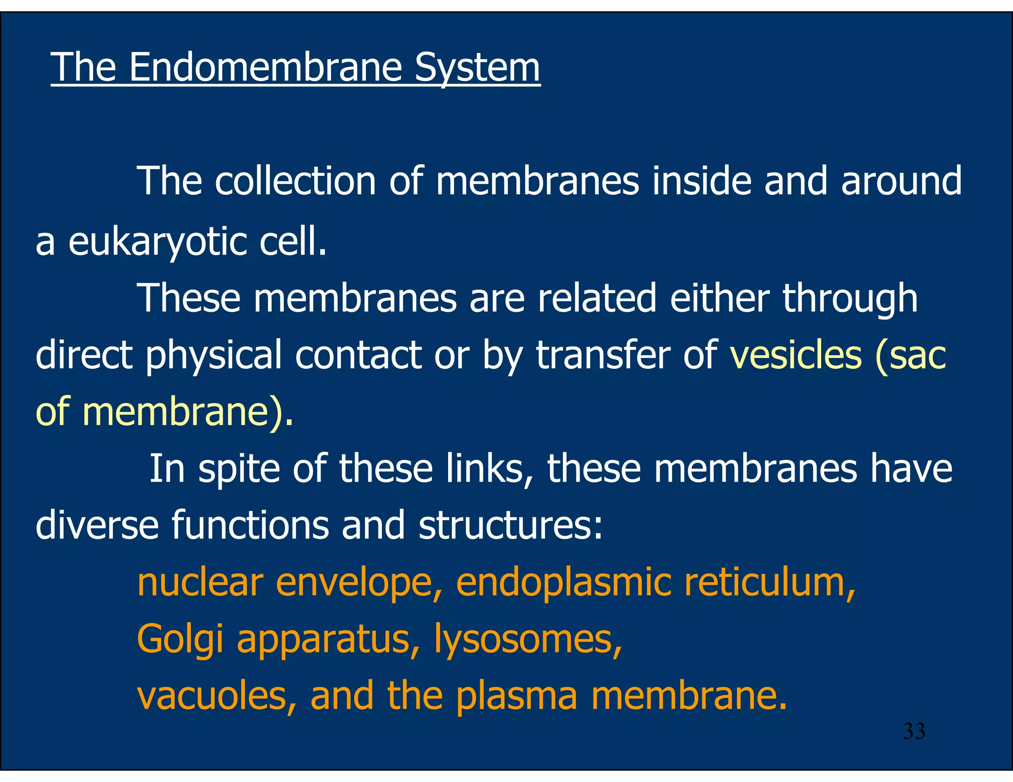 33
The Endomembrane System
The collection of membranes inside and around
a eukaryotic cell.
These membranes are related either through
direct physical contact or by transfer of vesicles (sac
of membrane).
In spite of these links, these membranes have
diverse functions and structures:
nuclear envelope, endoplasmic reticulum,
Golgi apparatus, lysosomes,
vacuoles, and the plasma membrane.
 