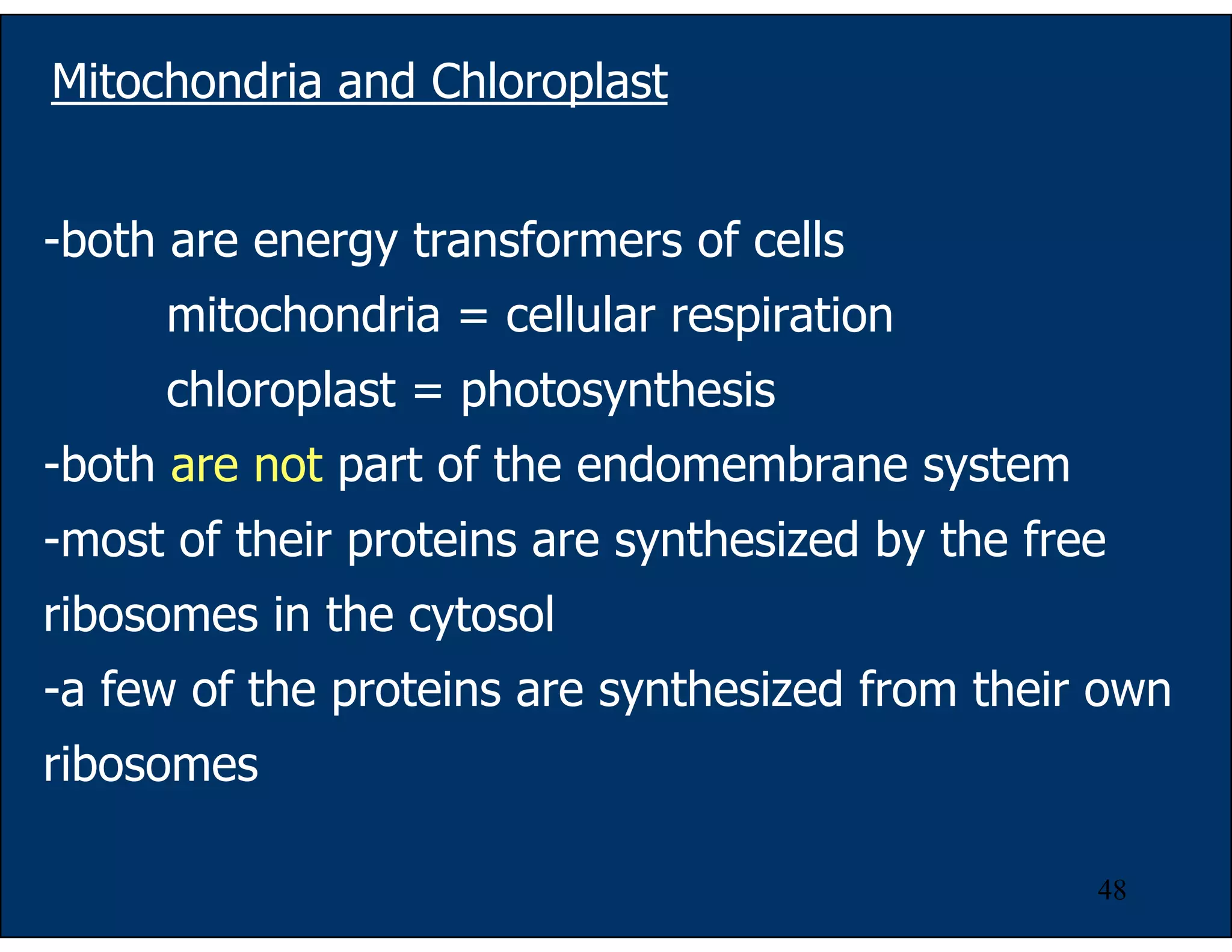 48
Mitochondria and Chloroplast
-both are energy transformers of cells
mitochondria = cellular respiration
chloroplast = photosynthesis
-both are not part of the endomembrane system
-most of their proteins are synthesized by the free
ribosomes in the cytosol
-a few of the proteins are synthesized from their own
ribosomes
 