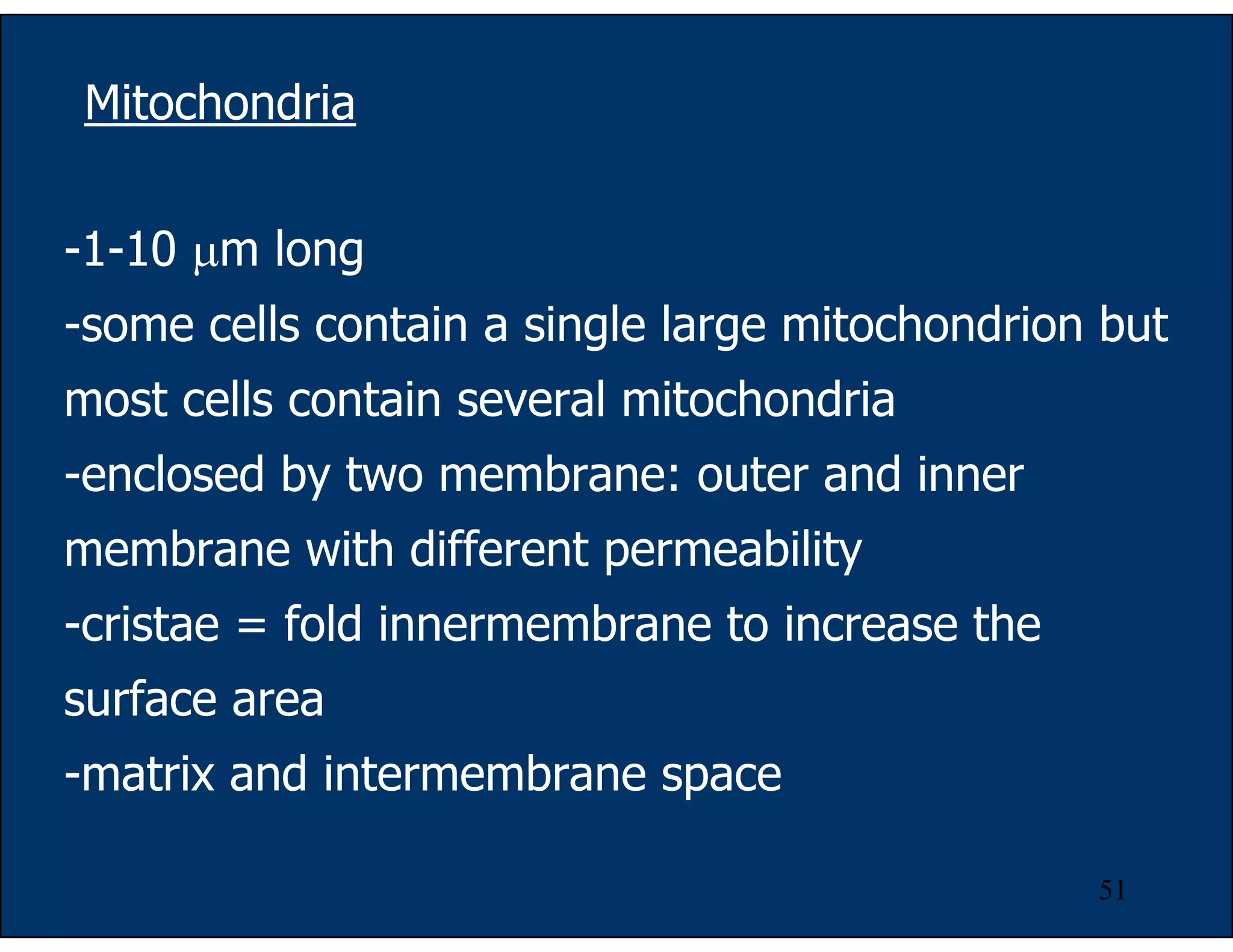 51
Mitochondria
-1-10 µm long
-some cells contain a single large mitochondrion but
most cells contain several mitochondria
-enclosed by two membrane: outer and inner
membrane with different permeability
-cristae = fold innermembrane to increase the
surface area
-matrix and intermembrane space
 