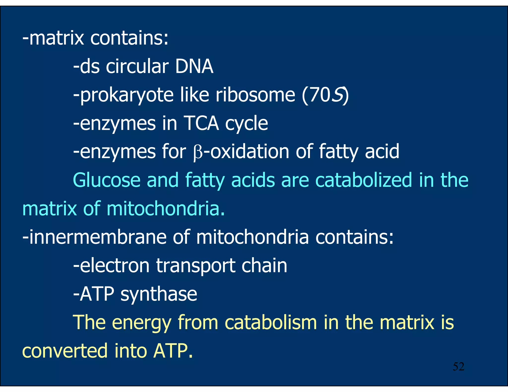 52
-matrix contains:
-ds circular DNA
-prokaryote like ribosome (70S)
-enzymes in TCA cycle
-enzymes for β-oxidation of fatty acid
Glucose and fatty acids are catabolized in the
matrix of mitochondria.
-innermembrane of mitochondria contains:
-electron transport chain
-ATP synthase
The energy from catabolism in the matrix is
converted into ATP.
 