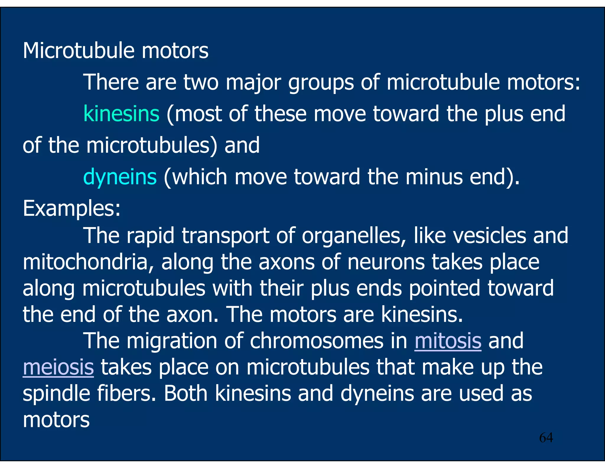 64
Microtubule motors
There are two major groups of microtubule motors:
kinesins (most of these move toward the plus end
of the microtubules) and
dyneins (which move toward the minus end).
Examples:
The rapid transport of organelles, like vesicles and
mitochondria, along the axons of neurons takes place
along microtubules with their plus ends pointed toward
the end of the axon. The motors are kinesins.
The migration of chromosomes in mitosis and
meiosis takes place on microtubules that make up the
spindle fibers. Both kinesins and dyneins are used as
motors
 