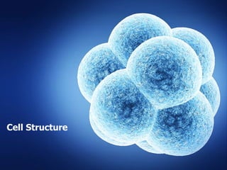 Cell Structure
 