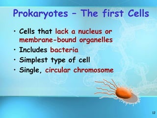 12
Prokaryotes – The first Cells
• Cells that lack a nucleus or
membrane-bound organelles
• Includes bacteria
• Simplest type of cell
• Single, circular chromosome
 