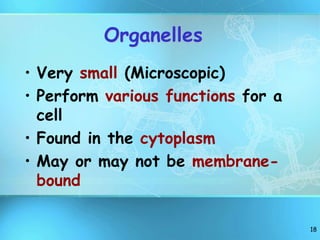 18
Organelles
• Very small (Microscopic)
• Perform various functions for a
cell
• Found in the cytoplasm
• May or may not be membrane-
bound
 