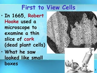 3
First to View Cells
• In 1665, Robert
Hooke used a
microscope to
examine a thin
slice of cork
(dead plant cells)
• What he saw
looked like small
boxes
 