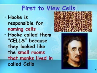 4
First to View Cells
• Hooke is
responsible for
naming cells
• Hooke called them
“CELLS” because
they looked like
the small rooms
that monks lived in
called Cells
 