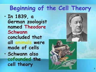 7
Beginning of the Cell Theory
• In 1839, a
German zoologist
named Theodore
Schwann
concluded that
all animals were
made of cells
• Schwann also
cofounded the
cell theory
 