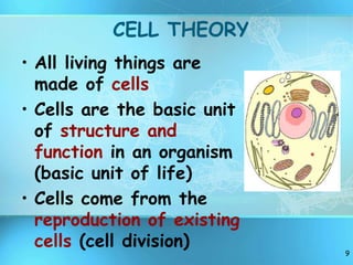 9
CELL THEORY
• All living things are
made of cells
• Cells are the basic unit
of structure and
function in an organism
(basic unit of life)
• Cells come from the
reproduction of existing
cells (cell division)
 