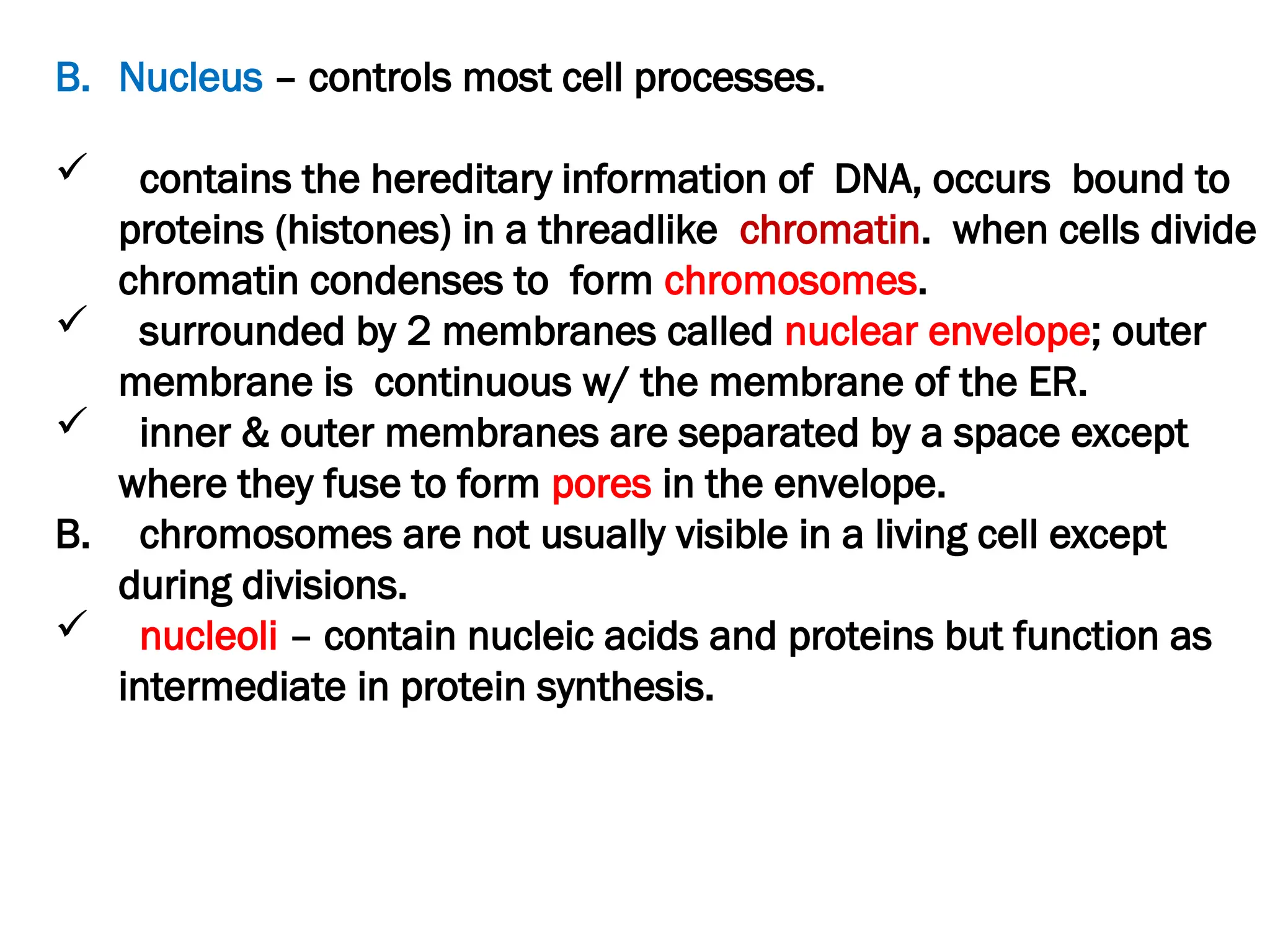 B. Nucleus – controls most cell processes.
 contains the hereditary information of DNA, occurs bound to
proteins (histones) in a threadlike chromatin. when cells divide
chromatin condenses to form chromosomes.
 surrounded by 2 membranes called nuclear envelope; outer
membrane is continuous w/ the membrane of the ER.
 inner & outer membranes are separated by a space except
where they fuse to form pores in the envelope.
B. chromosomes are not usually visible in a living cell except
during divisions.
 nucleoli – contain nucleic acids and proteins but function as
intermediate in protein synthesis.
 