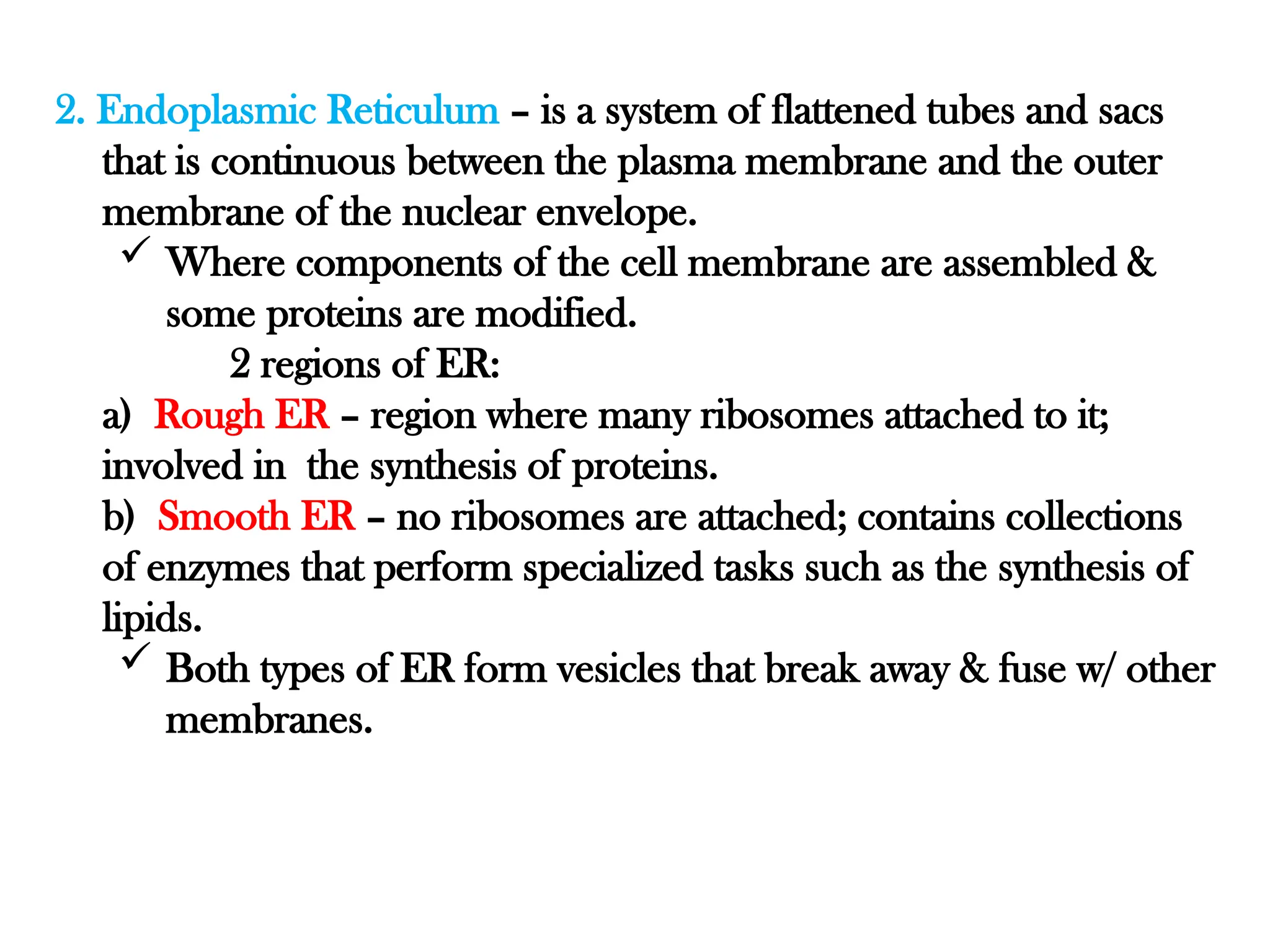 2. Endoplasmic Reticulum – is a system of flattened tubes and sacs
that is continuous between the plasma membrane and the outer
membrane of the nuclear envelope.
 Where components of the cell membrane are assembled &
some proteins are modified.
2 regions of ER:
a) Rough ER – region where many ribosomes attached to it;
involved in the synthesis of proteins.
b) Smooth ER – no ribosomes are attached; contains collections
of enzymes that perform specialized tasks such as the synthesis of
lipids.
 Both types of ER form vesicles that break away & fuse w/ other
membranes.
 