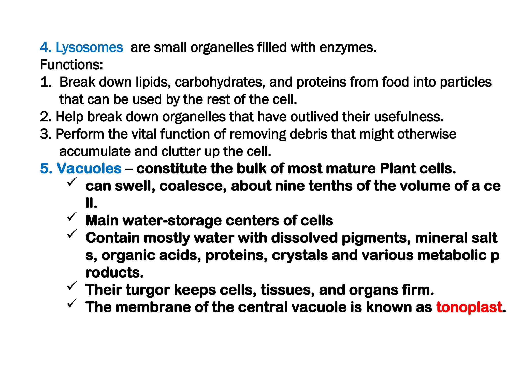 4. Lysosomes are small organelles filled with enzymes.
Functions:
1. Break down lipids, carbohydrates, and proteins from food into particles
that can be used by the rest of the cell.
2. Help break down organelles that have outlived their usefulness.
3. Perform the vital function of removing debris that might otherwise
accumulate and clutter up the cell.
5. Vacuoles – constitute the bulk of most mature Plant cells.
 can swell, coalesce, about nine tenths of the volume of a ce
ll.
 Main water-storage centers of cells
 Contain mostly water with dissolved pigments, mineral salt
s, organic acids, proteins, crystals and various metabolic p
roducts.
 Their turgor keeps cells, tissues, and organs firm.
 The membrane of the central vacuole is known as tonoplast.
 