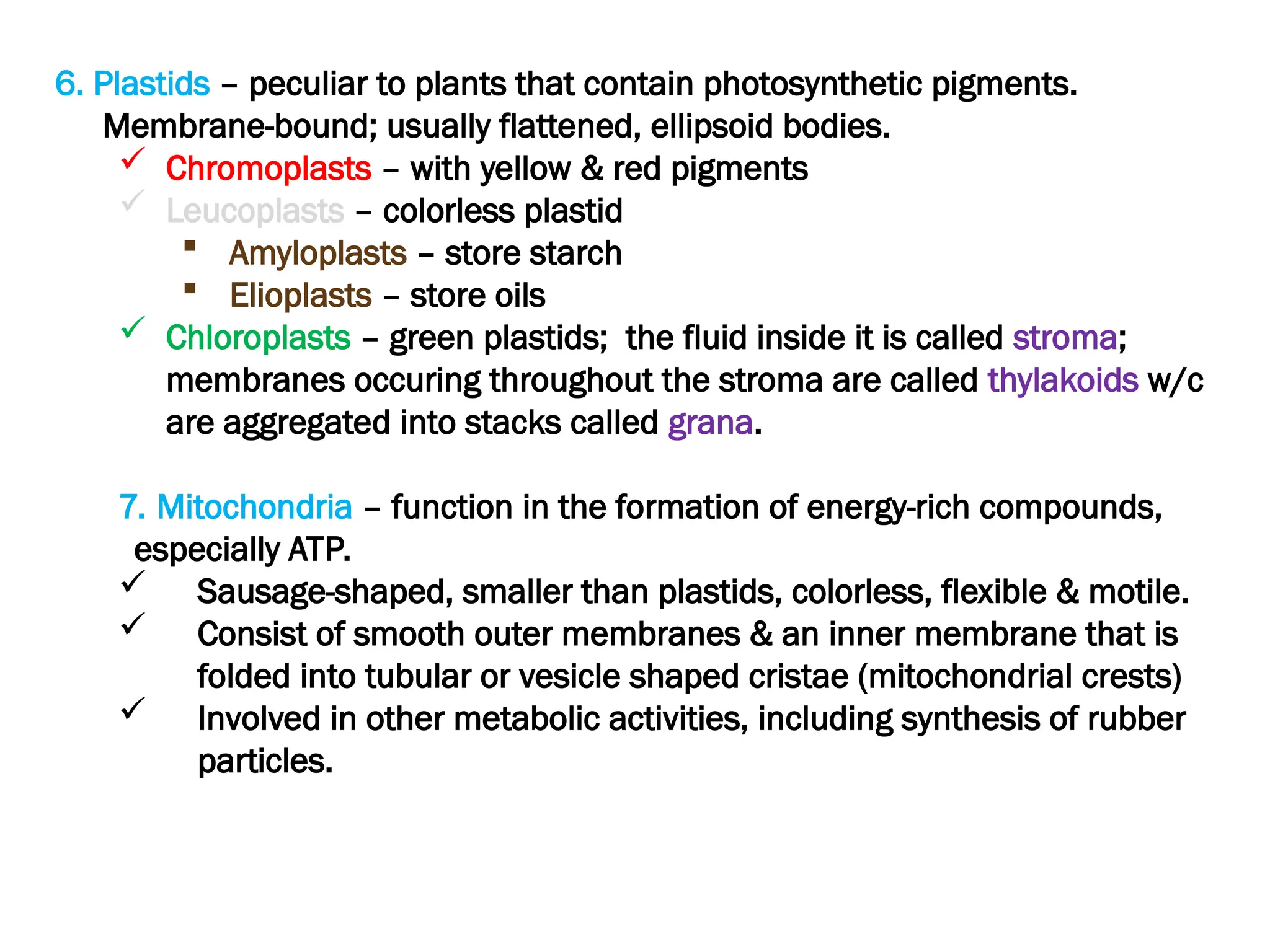 6. Plastids – peculiar to plants that contain photosynthetic pigments.
Membrane-bound; usually flattened, ellipsoid bodies.
 Chromoplasts – with yellow & red pigments
 Leucoplasts – colorless plastid
 Amyloplasts – store starch
 Elioplasts – store oils
 Chloroplasts – green plastids; the fluid inside it is called stroma;
membranes occuring throughout the stroma are called thylakoids w/c
are aggregated into stacks called grana.
7. Mitochondria – function in the formation of energy-rich compounds,
especially ATP.
 Sausage-shaped, smaller than plastids, colorless, flexible & motile.
 Consist of smooth outer membranes & an inner membrane that is
folded into tubular or vesicle shaped cristae (mitochondrial crests)
 Involved in other metabolic activities, including synthesis of rubber
particles.
 