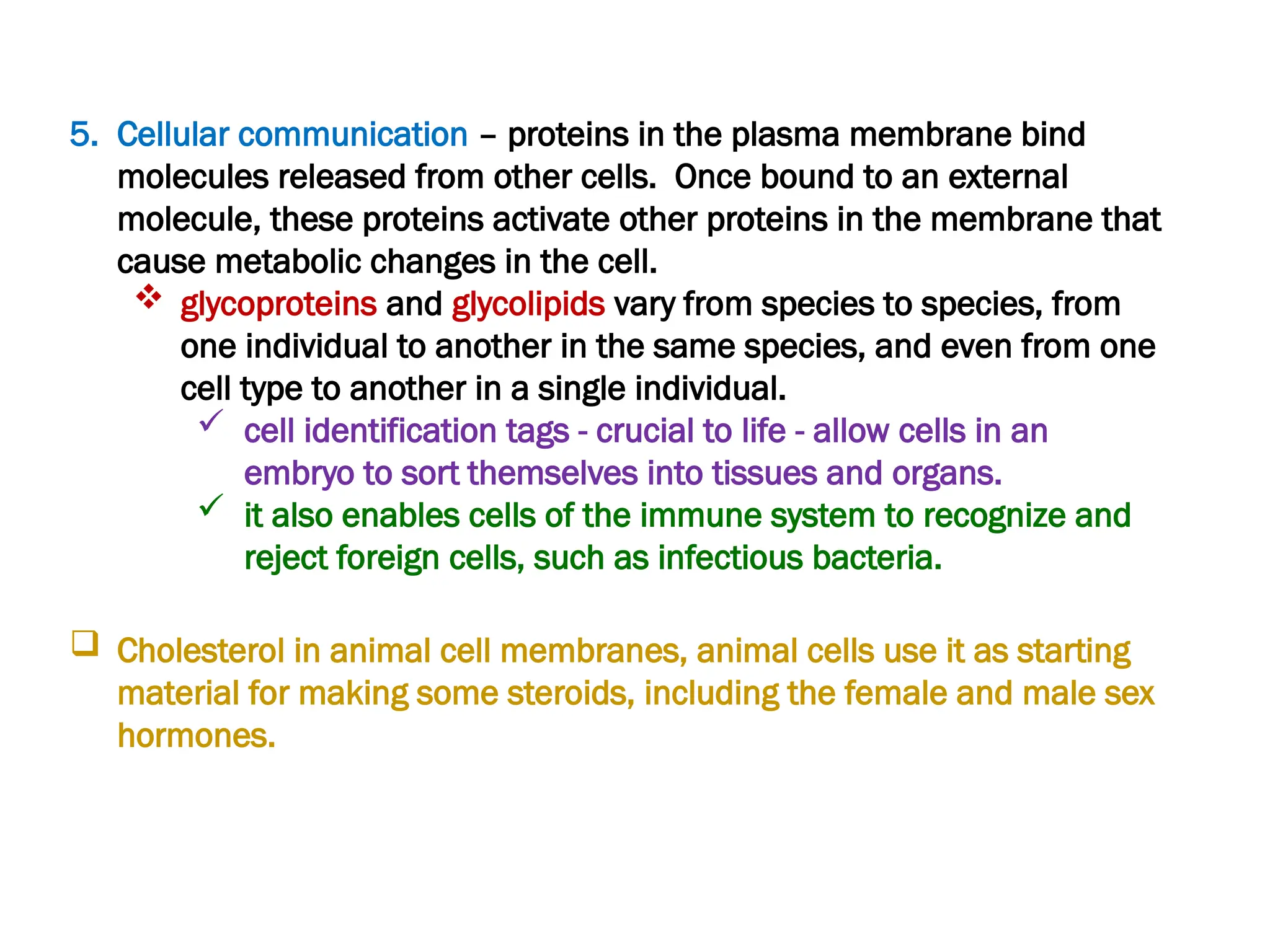 5. Cellular communication – proteins in the plasma membrane bind
molecules released from other cells. Once bound to an external
molecule, these proteins activate other proteins in the membrane that
cause metabolic changes in the cell.
 glycoproteins and glycolipids vary from species to species, from
one individual to another in the same species, and even from one
cell type to another in a single individual.
 cell identification tags - crucial to life - allow cells in an
embryo to sort themselves into tissues and organs.
 it also enables cells of the immune system to recognize and
reject foreign cells, such as infectious bacteria.
 Cholesterol in animal cell membranes, animal cells use it as starting
material for making some steroids, including the female and male sex
hormones.
 