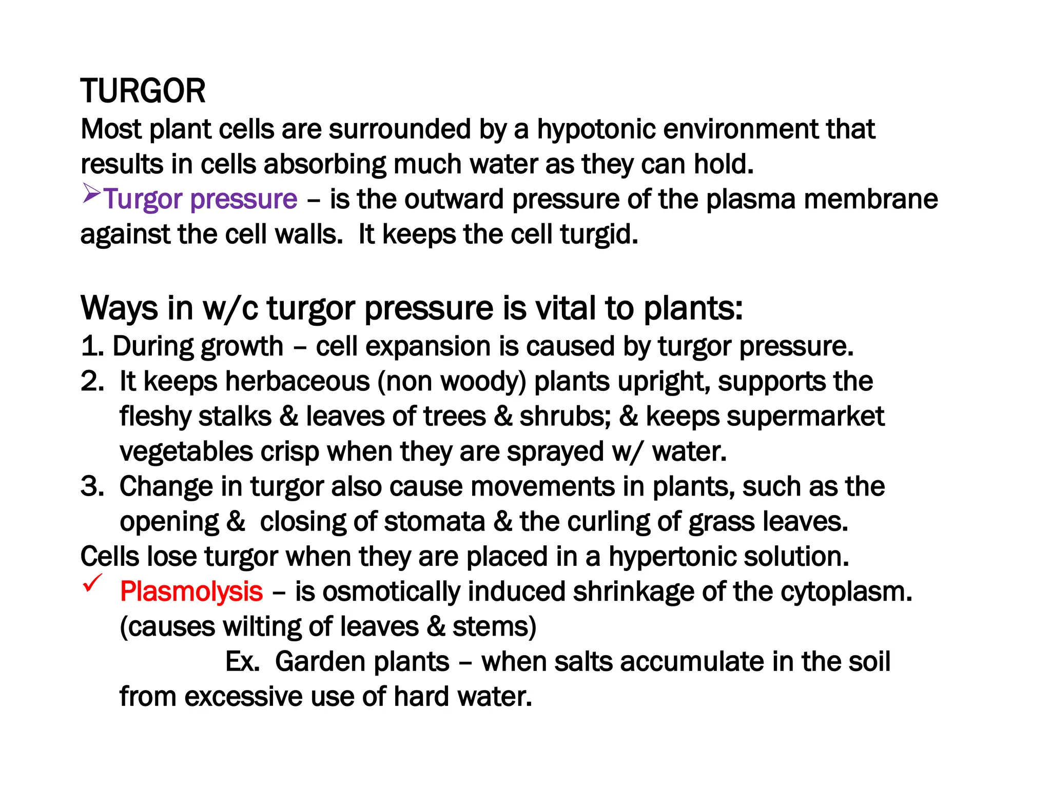 TURGOR
Most plant cells are surrounded by a hypotonic environment that
results in cells absorbing much water as they can hold.
Turgor pressure – is the outward pressure of the plasma membrane
against the cell walls. It keeps the cell turgid.
Ways in w/c turgor pressure is vital to plants:
1. During growth – cell expansion is caused by turgor pressure.
2. It keeps herbaceous (non woody) plants upright, supports the
fleshy stalks & leaves of trees & shrubs; & keeps supermarket
vegetables crisp when they are sprayed w/ water.
3. Change in turgor also cause movements in plants, such as the
opening & closing of stomata & the curling of grass leaves.
Cells lose turgor when they are placed in a hypertonic solution.
 Plasmolysis – is osmotically induced shrinkage of the cytoplasm.
(causes wilting of leaves & stems)
Ex. Garden plants – when salts accumulate in the soil
from excessive use of hard water.
 