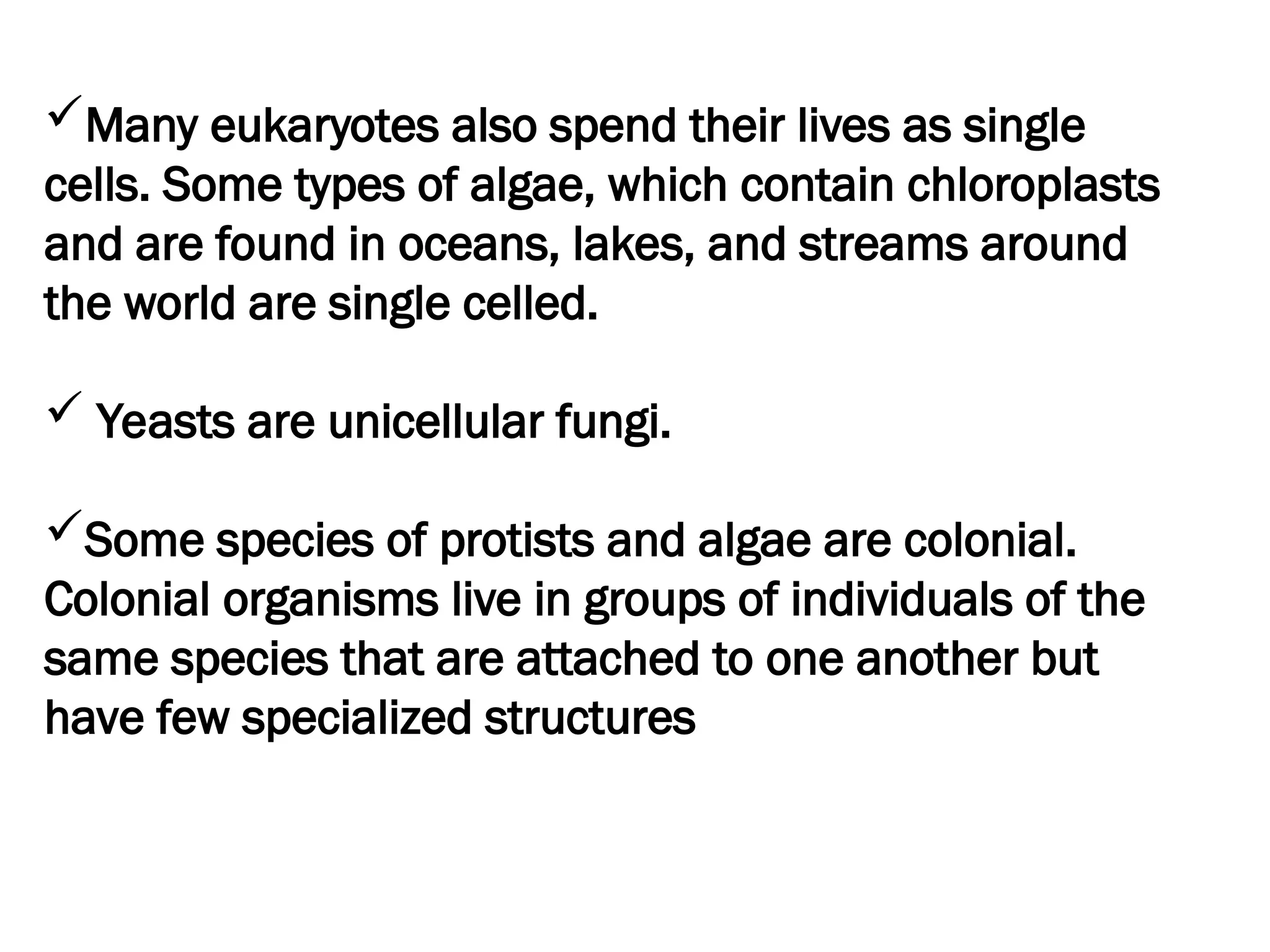 Many eukaryotes also spend their lives as single
cells. Some types of algae, which contain chloroplasts
and are found in oceans, lakes, and streams around
the world are single celled.
 Yeasts are unicellular fungi.
Some species of protists and algae are colonial.
Colonial organisms live in groups of individuals of the
same species that are attached to one another but
have few specialized structures
 