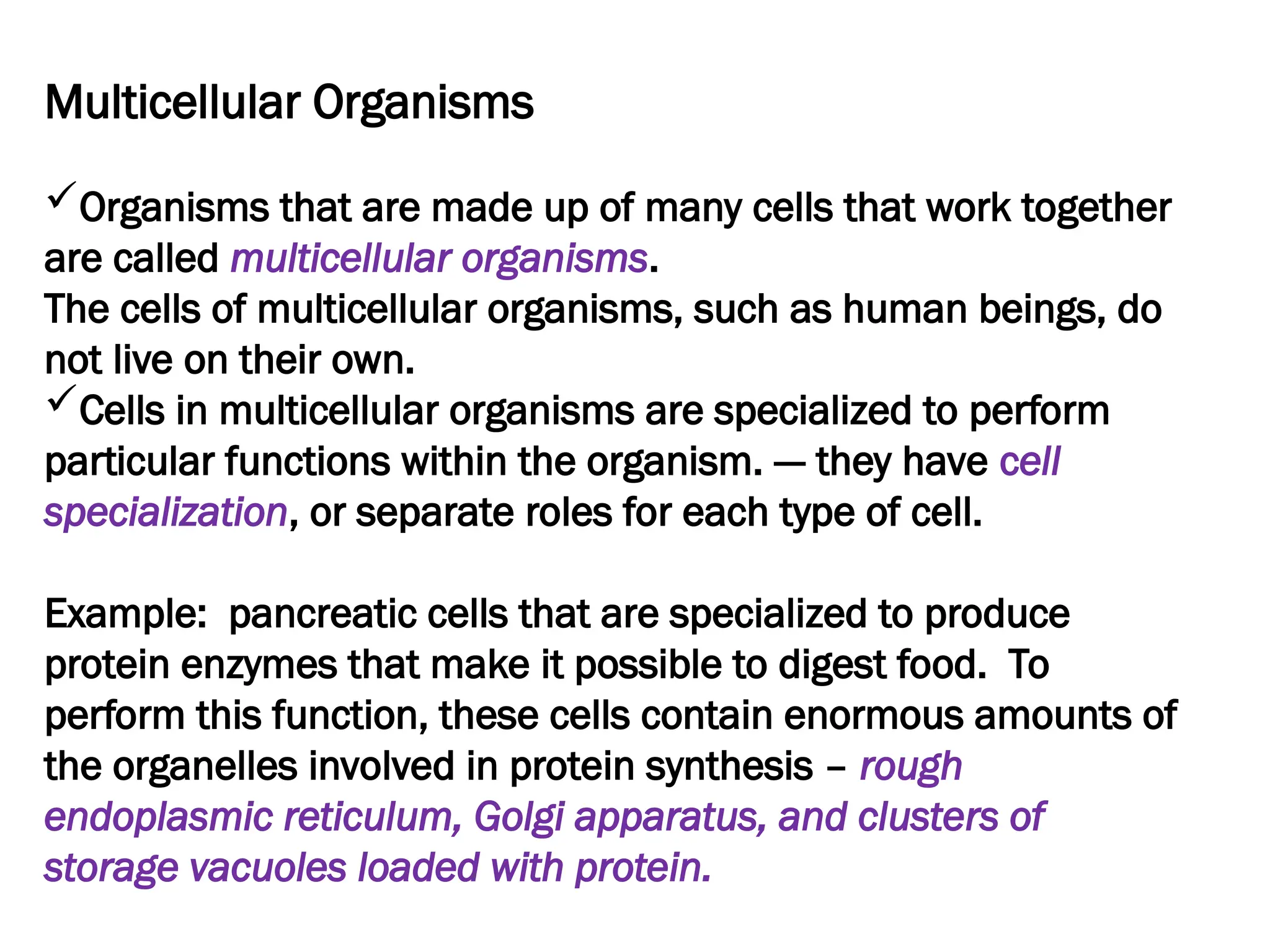 Multicellular Organisms
Organisms that are made up of many cells that work together
are called multicellular organisms.
The cells of multicellular organisms, such as human beings, do
not live on their own.
Cells in multicellular organisms are specialized to perform
particular functions within the organism. --- they have cell
specialization, or separate roles for each type of cell.
Example: pancreatic cells that are specialized to produce
protein enzymes that make it possible to digest food. To
perform this function, these cells contain enormous amounts of
the organelles involved in protein synthesis – rough
endoplasmic reticulum, Golgi apparatus, and clusters of
storage vacuoles loaded with protein.
 