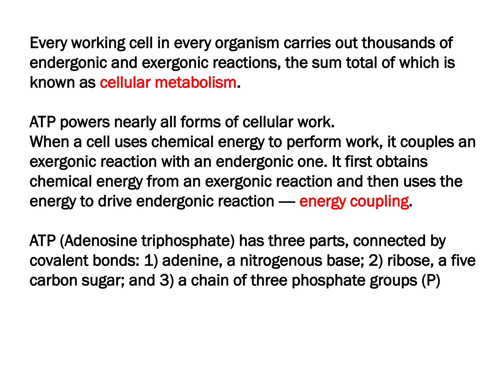 Every working cell in every organism carries out thousands of
endergonic and exergonic reactions, the sum total of which is
known as cellular metabolism.
ATP powers nearly all forms of cellular work.
When a cell uses chemical energy to perform work, it couples an
exergonic reaction with an endergonic one. It first obtains
chemical energy from an exergonic reaction and then uses the
energy to drive endergonic reaction ---- energy coupling.
ATP (Adenosine triphosphate) has three parts, connected by
covalent bonds: 1) adenine, a nitrogenous base; 2) ribose, a five
carbon sugar; and 3) a chain of three phosphate groups (P)
 