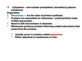  Cytoplasm – non-nuclear protoplasm; bounded by plasma
membrane
Organelles:
1. Ribosomes -- are the sites of protein synthesis.
 Proteins are assembled on ribosomes , small particles made
of RNA and protein.
 About 0.025 micrometers in diameter.
 Ribosomes produce proteins following coded instructions that
come from the nucleus.
 Usually occur in clusters called polysomes
 Either attached to membranes or free.
 