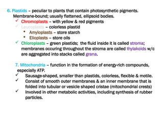 6. Plastids – peculiar to plants that contain photosynthetic pigments.
Membrane-bound; usually flattened, ellipsoid bodies.
 Chromoplasts – with yellow & red pigments
 Leucoplasts – colorless plastid
 Amyloplasts – store starch
 Elioplasts – store oils
 Chloroplasts – green plastids; the fluid inside it is called stroma;
membranes occuring throughout the stroma are called thylakoids w/c
are aggregated into stacks called grana.
7. Mitochondria – function in the formation of energy-rich compounds,
especially ATP.
 Sausage-shaped, smaller than plastids, colorless, flexible & motile.
 Consist of smooth outer membranes & an inner membrane that is
folded into tubular or vesicle shaped cristae (mitochondrial crests)
 Involved in other metabolic activities, including synthesis of rubber
particles.
 