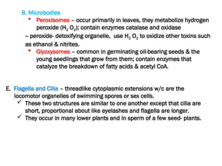 8. Microbodies
 Peroxisomes – occur primarily in leaves, they metabolize hydrogen
peroxide (H2 O2); contain enzymes catalase and oxidase
-- peroxide- detoxifying organelle, use H2 O2 to oxidize other toxins such
as ethanol & nitrites.
 Glyoxysomes – common in germinating oil-bearing seeds & the
young seedlings that grow from them; contain enzymes that
catalyze the breakdown of fatty acids & acetyl CoA.
E. Flagella and Cilia – threadlike cytoplasmic extensions w/c are the
locomotor organelles of swimming spores or sex cells.
 These two structures are similar to one another except that cilia are
short, proportional about like eyelashes and flagella are longer.
 They occur in many lower plants and in sperm of a few seed- plants.
 