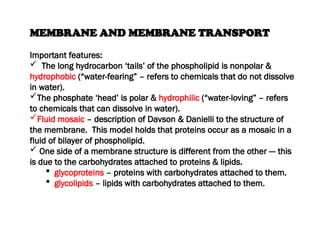 MEMBRANE AND MEMBRANE TRANSPORT
Important features:
 The long hydrocarbon ‘tails’ of the phospholipid is nonpolar &
hydrophobic (“water-fearing” – refers to chemicals that do not dissolve
in water).
The phosphate ‘head’ is polar & hydrophilic (“water-loving” – refers
to chemicals that can dissolve in water).
Fluid mosaic – description of Davson & Danielli to the structure of
the membrane. This model holds that proteins occur as a mosaic in a
fluid of bilayer of phospholipid.
 One side of a membrane structure is different from the other --- this
is due to the carbohydrates attached to proteins & lipids.
 glycoproteins – proteins with carbohydrates attached to them.
 glycolipids – lipids with carbohydrates attached to them.
 