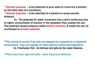 Osmotic pressure – is the potential of pure water to move into a solution
on the other side of a membrane.
Osmotic potential – is the potential of a solution to cause osmotic
pressure.
Ex. The potential for water movement into a cell is continuous due
to higher concentration of solution in the cytoplasm than outside the cell.
This potential causes pressure called osmotic pressure, & inside the cell, its
counterpart is osmotic potential.
For animal to survive if its cells are exposed to a hypertonic or hypotonic
environment - they are capable of water balance called osmoregulation.
Ex. Freshwater fish - its kidneys and gills do the water balance.
Plant cells have rigid cell walls - water balance is different.
 