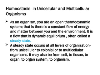 Homeostasis in Unicellular and Multicellular
Organisms
 As an organism, you are an open thermodynamic
system; that is there is a constant flow of energy
and matter between you and the environment. It is
a flow that is dynamic equilibrium , often called a
steady state.
 A steady state occurs at all levels of organization-
from unicellular to colonial or to multicellular
organisms. It may also be from cell, to tissue, to
organ, to organ system, to organism.
 