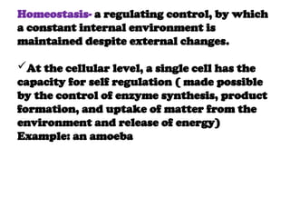 Homeostasis- a regulating control, by which
a constant internal environment is
maintained despite external changes.
At the cellular level, a single cell has the
capacity for self regulation ( made possible
by the control of enzyme synthesis, product
formation, and uptake of matter from the
environment and release of energy)
Example: an amoeba
 