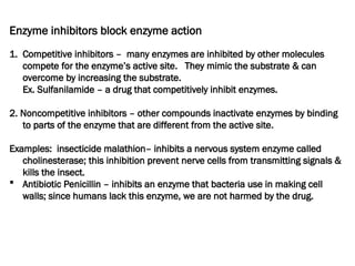 Enzyme inhibitors block enzyme action
1. Competitive inhibitors – many enzymes are inhibited by other molecules
compete for the enzyme’s active site. They mimic the substrate & can
overcome by increasing the substrate.
Ex. Sulfanilamide – a drug that competitively inhibit enzymes.
2. Noncompetitive inhibitors – other compounds inactivate enzymes by binding
to parts of the enzyme that are different from the active site.
Examples: insecticide malathion– inhibits a nervous system enzyme called
cholinesterase; this inhibition prevent nerve cells from transmitting signals &
kills the insect.
 Antibiotic Penicillin – inhibits an enzyme that bacteria use in making cell
walls; since humans lack this enzyme, we are not harmed by the drug.
 
