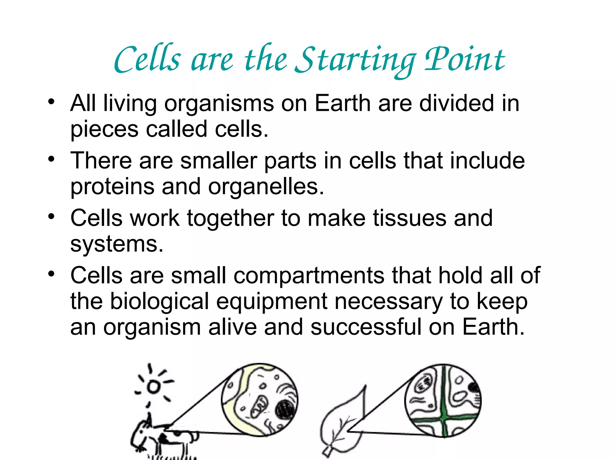 Cells are the Starting Point
• All living organisms on Earth are divided in
pieces called cells.
• There are smaller parts in cells that include
proteins and organelles.
• Cells work together to make tissues and
systems.
• Cells are small compartments that hold all of
the biological equipment necessary to keep
an organism alive and successful on Earth.

 