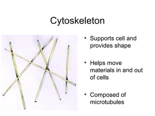 Cytoskeleton
• Supports cell and
provides shape
• Helps move
materials in and out
of cells
• Composed of
microtubules

 
