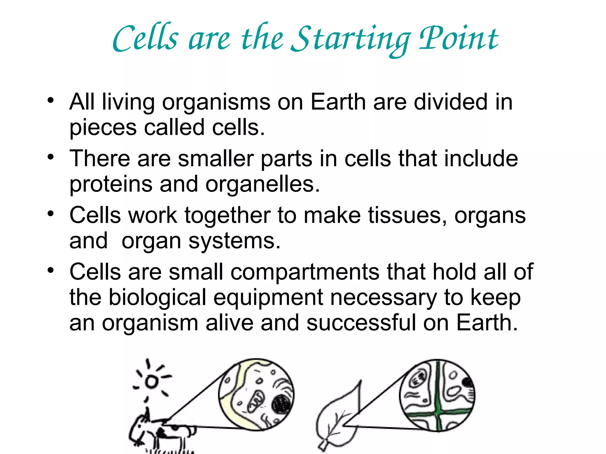 Cells are the Starting Point
• All living organisms on Earth are divided in
pieces called cells.
• There are smaller parts in cells that include
proteins and organelles.
• Cells work together to make tissues, organs
and organ systems.
• Cells are small compartments that hold all of
the biological equipment necessary to keep
an organism alive and successful on Earth.

 
