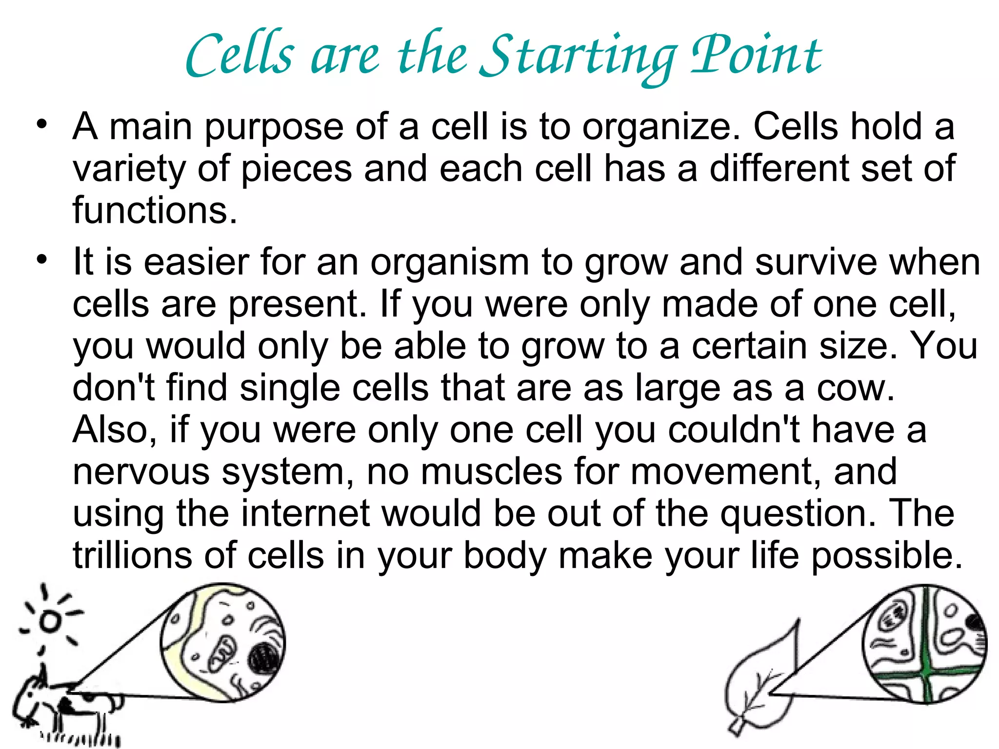 Cells are the Starting Point
• A main purpose of a cell is to organize. Cells hold a
variety of pieces and each cell has a different set of
functions.
• It is easier for an organism to grow and survive when
cells are present. If you were only made of one cell,
you would only be able to grow to a certain size. You
don't find single cells that are as large as a cow.
Also, if you were only one cell you couldn't have a
nervous system, no muscles for movement, and
using the internet would be out of the question. The
trillions of cells in your body make your life possible.

 