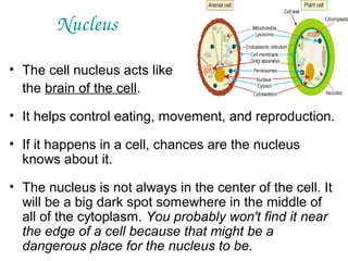 Nucleus
• The cell nucleus acts like
the brain of the cell.
• It helps control eating, movement, and reproduction.
• If it happens in a cell, chances are the nucleus
knows about it.
• The nucleus is not always in the center of the cell. It
will be a big dark spot somewhere in the middle of
all of the cytoplasm. You probably won't find it near
the edge of a cell because that might be a
dangerous place for the nucleus to be.

 