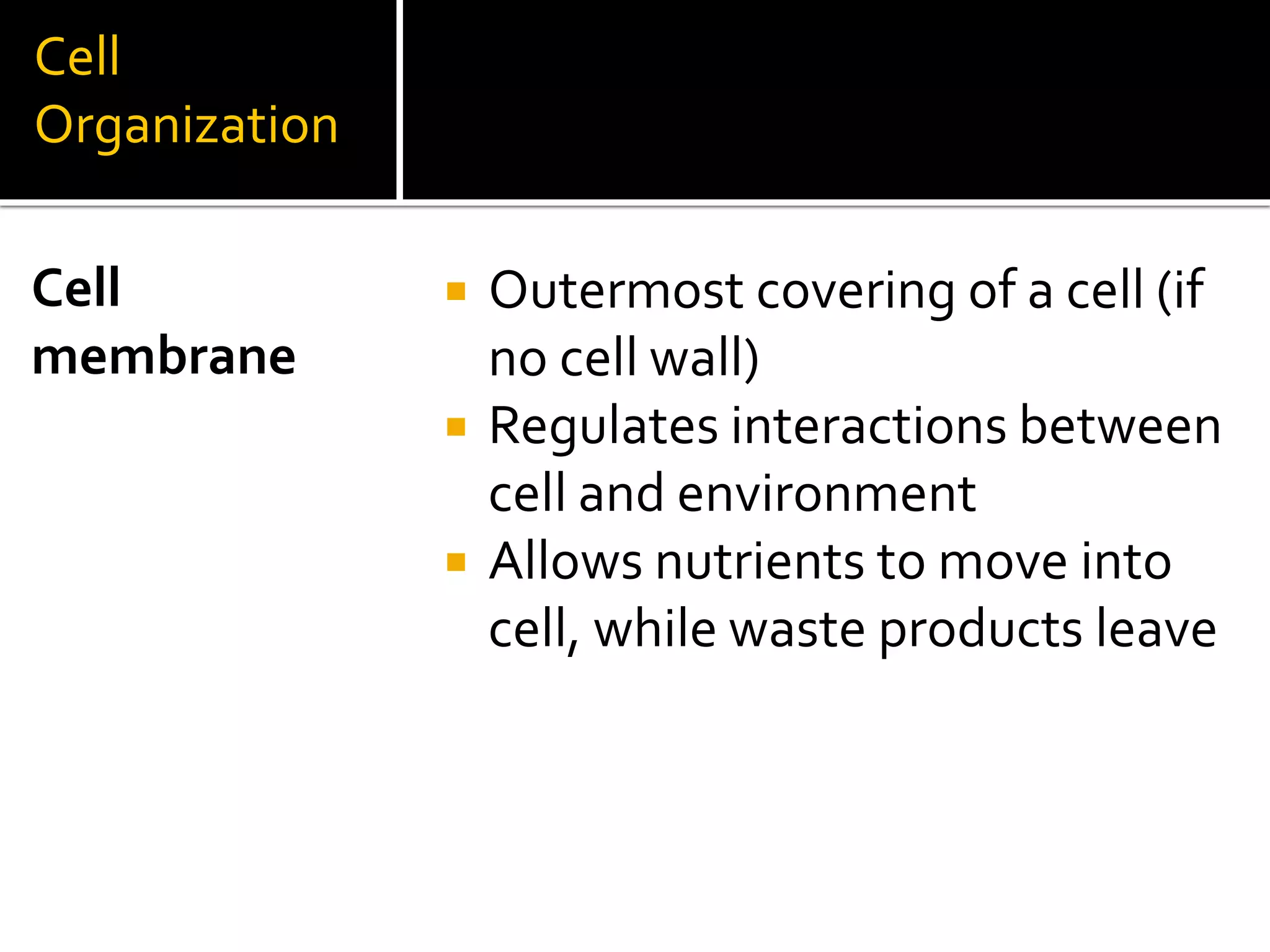 Cell structure 7th grade chapter 8 | PPT | Free Download