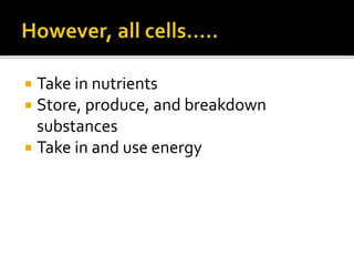 Cell structure 7th grade chapter 8 | PPTX