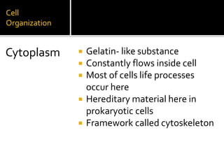 Cell structure 7th grade chapter 8 | PPTX