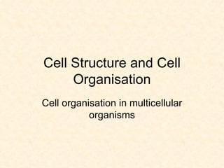 Cell Structure and Cell Organisation Cell organisation in multicellular organisms 