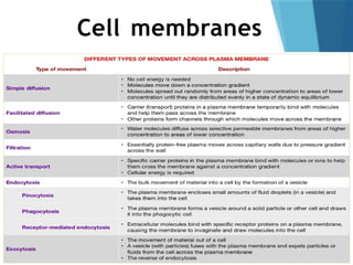 Cell membranes
 