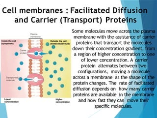 Cell membranes : Facilitated Diffusion
and Carrier (Transport) Proteins
Some molecules move across the plasma
membrane with the assistance of carrier
proteins that transport the molecules
down their concentration gradient, from
a region of higher concentration to one
of lower concentration. A carrier
protein alternates between two
configurations, moving a molecule
across a membrane as the shape of the
protein changes. The rate of facilitated
diffusion depends on how many carrier
proteins are available in the membrane
and how fast they can move their
specific molecules.
 