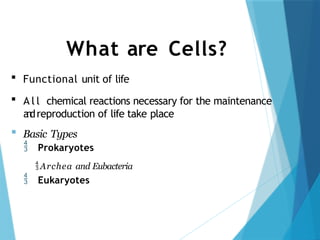 What are Cells?
 Functional unit of life
 A l l chemical reactions necessary for the maintenance
a
n
dreproduction of life take place
 Basic Types
 Prokaryotes
Archea and Eubacteria
 Eukaryotes
 