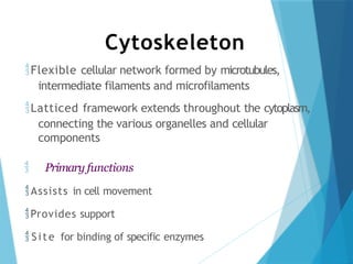 Cytoskeleton
Flexible cellular network formed by microtubules,
intermediate filaments and microfilaments
Latticed framework extends throughout the cytoplasm,
connecting the various organelles and cellular
components
 Primary functions
Assists in cell movement
Provides support
 Site for binding of specific enzymes
 