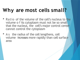 Why are most cells small?
 Ratio of the volume of the cell’s nucleus to the
volume o f its cytoplasm must not be so small
that the nucleus, the cell’s major control center
cannot control the cytoplasm
 A s the radius of the cell lengthens, cell
volume increases more rapidly than cell surface
area
 