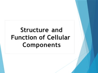 Structure and
Function of Cellular
Components
 