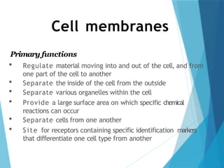 Cell membranes
Primary functions
 Regulate material moving into and out of the cell, and from
one part of the cell to another
 Separate the inside of the cell from the outside
 Separate various organelles within the cell
 Provide a large surface area on which specific chemical
reactions can occur
 Separate cells from one another
 Site for receptors containing specific identification markers
that differentiate one cell type from another
 