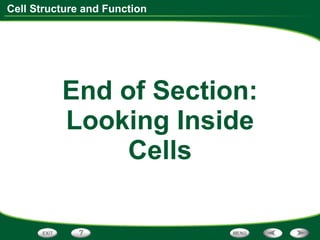 End of Section: Looking Inside Cells 