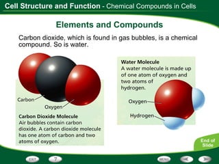 Elements and Compounds Carbon dioxide, which is found in gas bubbles, is a chemical compound. So is water. - Chemical Compounds in Cells 