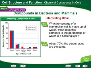 Compounds in Bacteria and Mammals About 70%; the percentages are the same. Interpreting Data: What percentage of a mammalian cell is made up of water? How does this compare to the percentage of water in a bacterial cell? - Chemical Compounds in Cells 